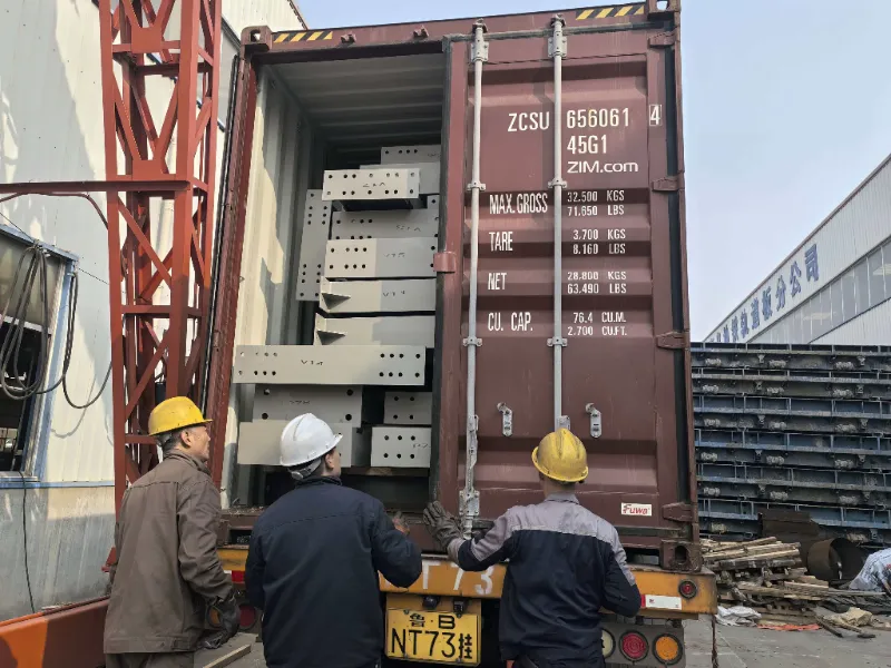 Komponenty oceľovej konštrukcie pre rozsiahly projekt oceľového skladu v Čile boli úspešne odoslané a podporujú výstavbu miestneho logistického centra